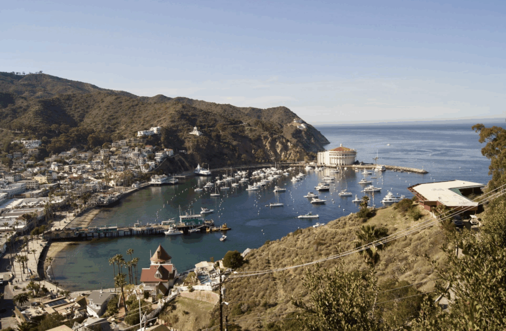 Le port d'Avalon, lieu de l'intrigue du prochain livre de Connelly.