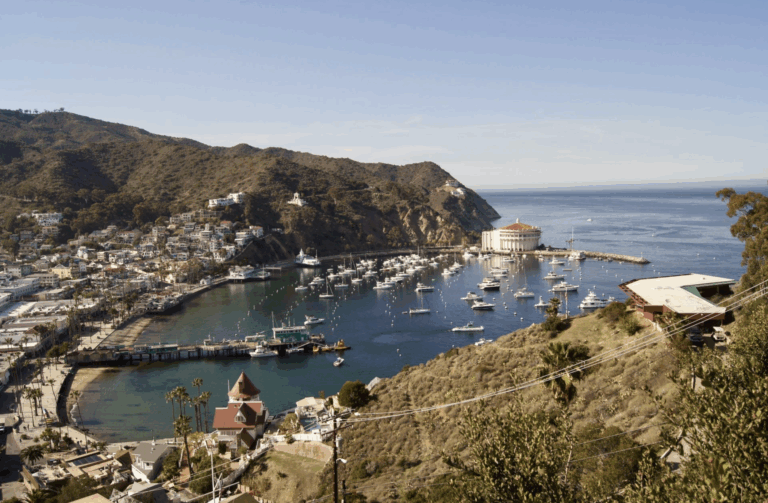 Le port d'Avalon, lieu de l'intrigue du prochain livre de Connelly.